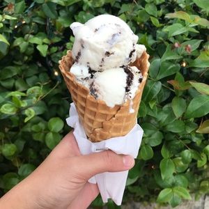 Meet your Posher, Hailey